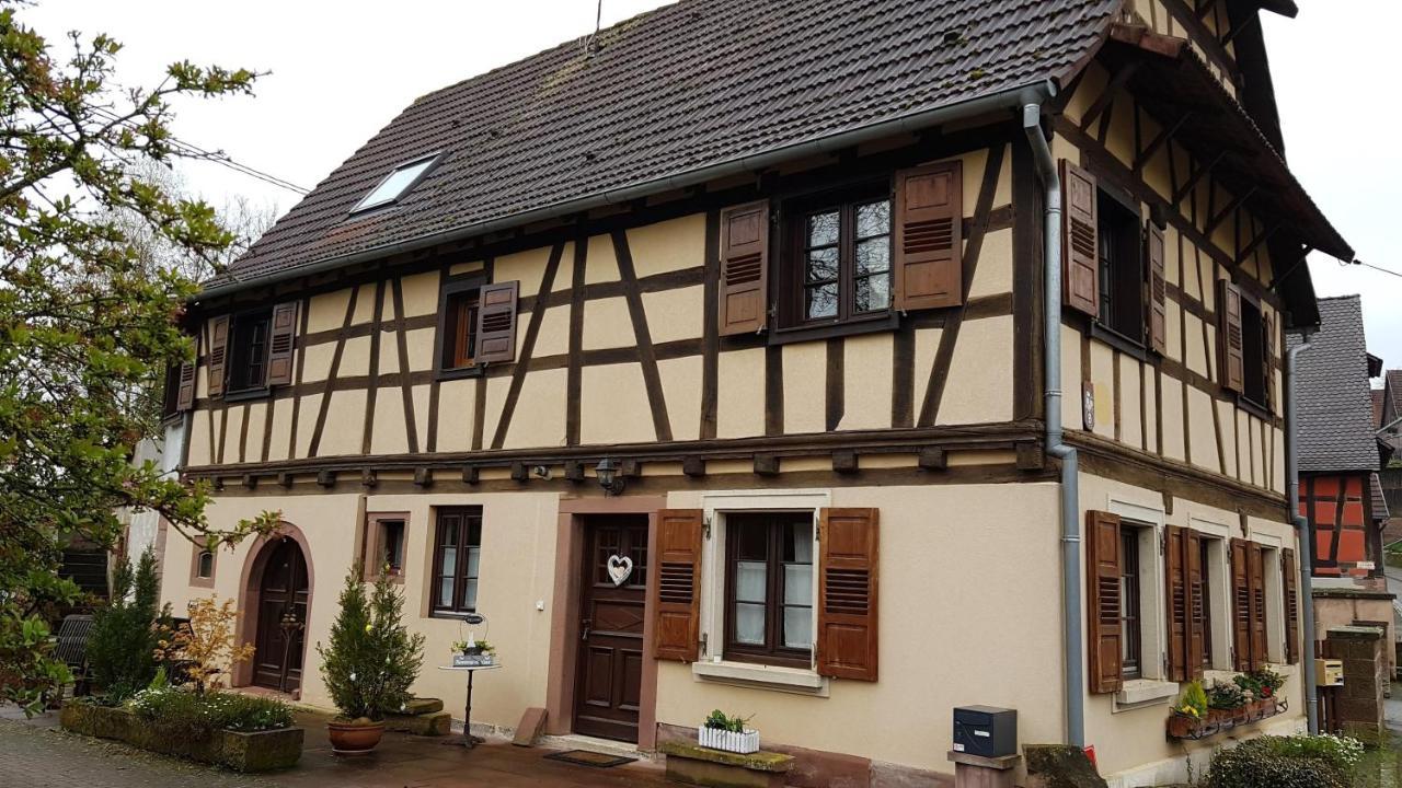 Gite A La Petite Fontaine-Plain Pied-Maison Alsacienne Renovee Avec Passion-4 Pers-4Nuitees Minimum Langensoultzbach Exteriör bild