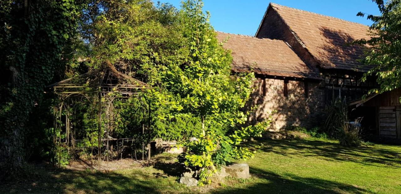 Gite A La Petite Fontaine-Plain Pied-Maison Alsacienne Renovee Avec Passion-4 Pers-4Nuitees Minimum Langensoultzbach Exteriör bild