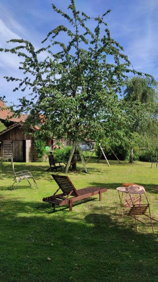 Gite A La Petite Fontaine-Plain Pied-Maison Alsacienne Renovee Avec Passion-4 Pers-4Nuitees Minimum Langensoultzbach Exteriör bild