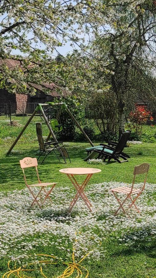Gite A La Petite Fontaine-Plain Pied-Maison Alsacienne Renovee Avec Passion-4 Pers-4Nuitees Minimum Langensoultzbach Exteriör bild